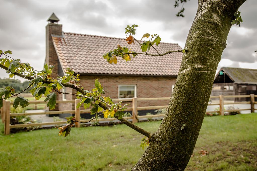 Willa Het Kleine Landgoed Haarle Zewnętrze zdjęcie